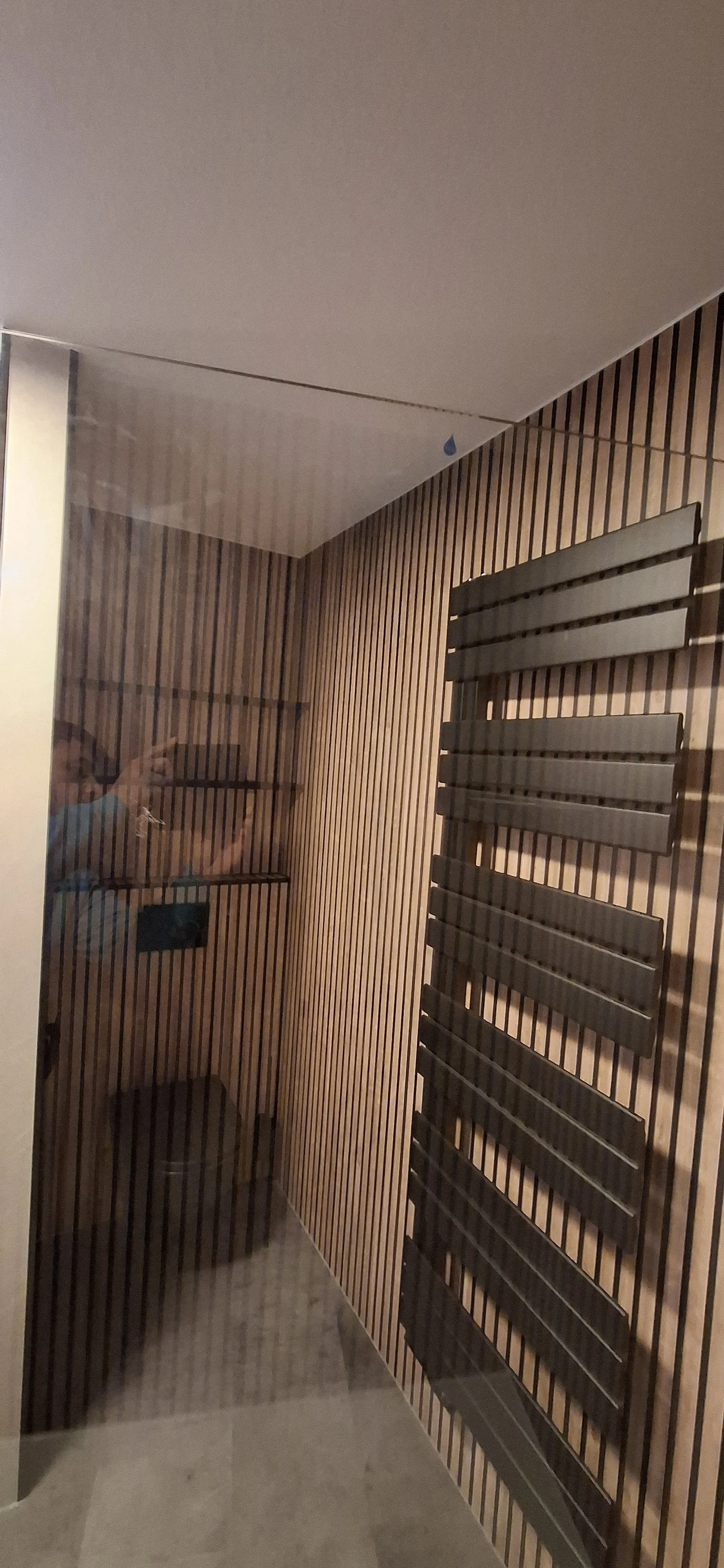 SaniSafe propose des solutions de salle de bain innovantes pour les seniors dans l\'ère moderne